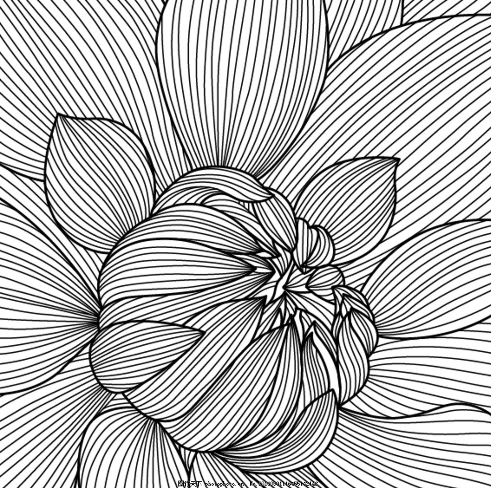 今日截止！航空知识双十一加赠福利今晚19点别错过→