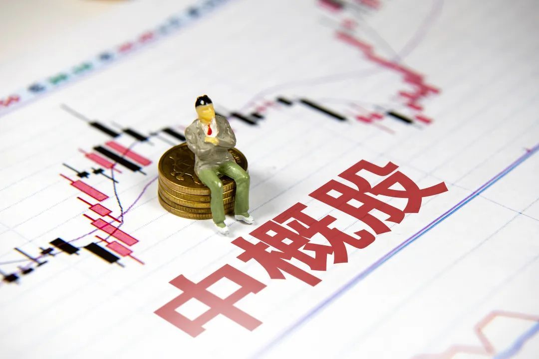 东珠生态：公司股票将于2025年8月27日（星期三）开市起停牌